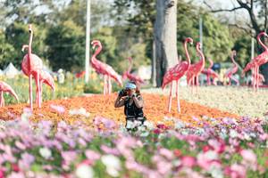 BIB: 
                            <button type="button" onclick="openModal(27344279)" class="btn btn-primary btn-sm float-right btn-popup" data-toggle="modal" data-target=".modal-high-quality">
                        <i class="fas fa-shopping-cart"></i> Add to Cart
                    </button>
                                            <button type="button" onclick="isThisMe(27344279, true)" class="btn btn-success btn-sm float-right btn-popup btn-isme hidden" data-toggle="tooltip" data-placement="bottom" title="นี่คือรูปของคุณใช่ไหม คลิกที่นี่เพื่อเอาเข้าอัลบั้ม">
                        <i class="fas fa-plus"></i> Add to album
                    </button>
                    <button type="button" onclick="isThisMe(27344279, false)" class="btn btn-warning btn-sm float-right btn-popup btn-isnotme hidden">
                        <i class="fas fa-ban"></i> Remove from album
                    </button>